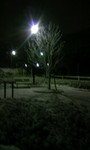 100202_002134.JPG