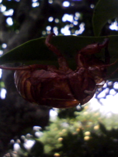 070801_1013.jpg