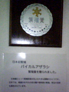 080325_1416.jpg