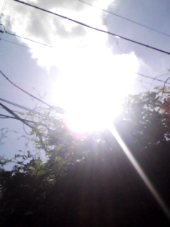 080807_1357.jpg
