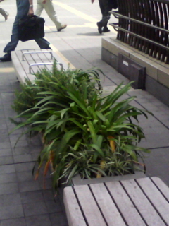 080822_1113.jpg