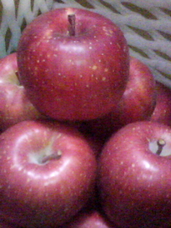 081127_0335.jpg