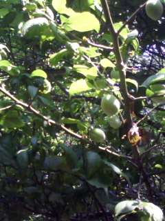 090509_1301.jpg