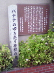 100923_1735.jpg